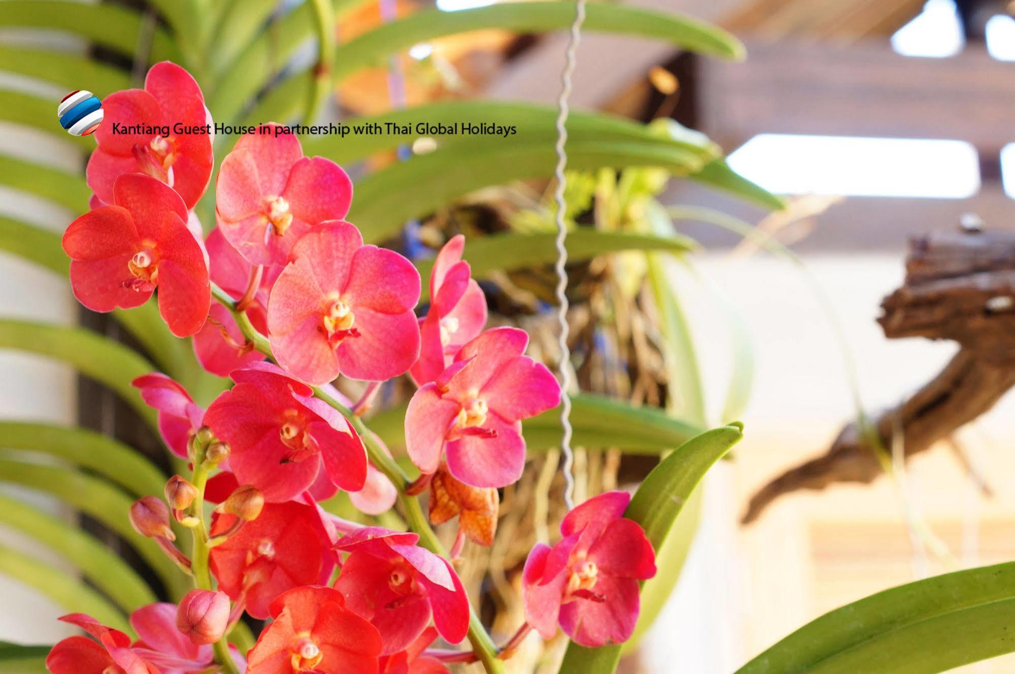 Kantaing Boutique Guest House Ko Lanta 外观 照片